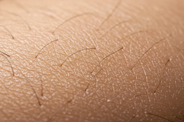 Men’s Waxing: 2026 for Hair Reduction & Ease