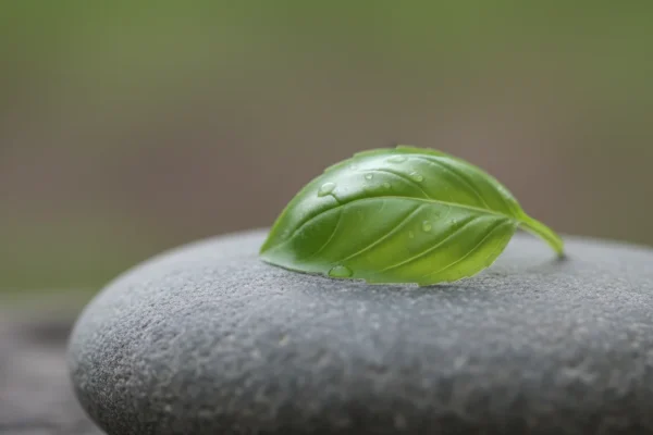 Men’s Grooming: 5 Habits for 2026 Success